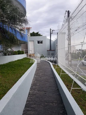 Apartamento Para Alugar No Jd Carvalho - Ed. Porto Seguro