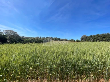 Chácara à Venda Na Chapada
