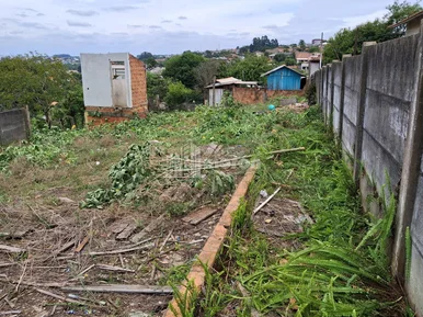 Terreno Para Locação No Nova Rússia