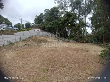 Terreno à Venda No Jardim Barreto