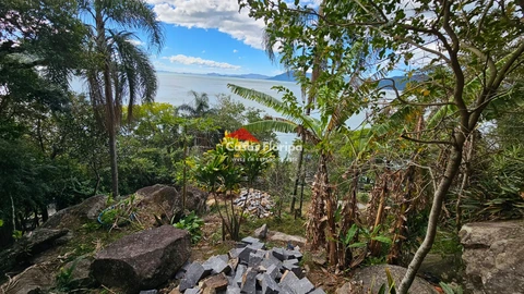 Foto Terreno