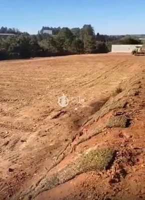 Terreno Em Uvaranas - Oportunidade Para Investimento