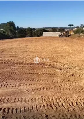Terreno Em Uvaranas - Oportunidade Para Investimento