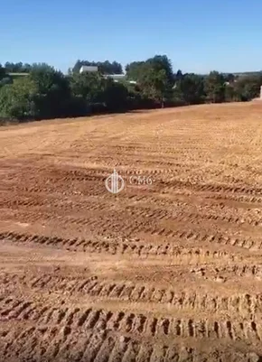Terreno Em Uvaranas - Oportunidade Para Investimento