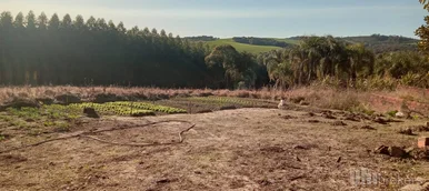 <strong>Sítio no São Bento do Amparo</strong>