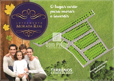 Foto Terreno