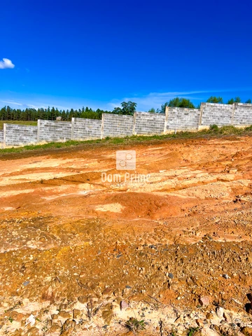Foto Terreno