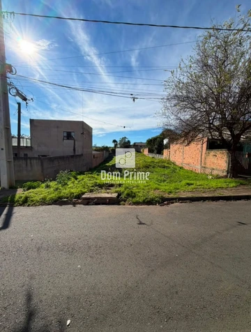 Foto Terreno