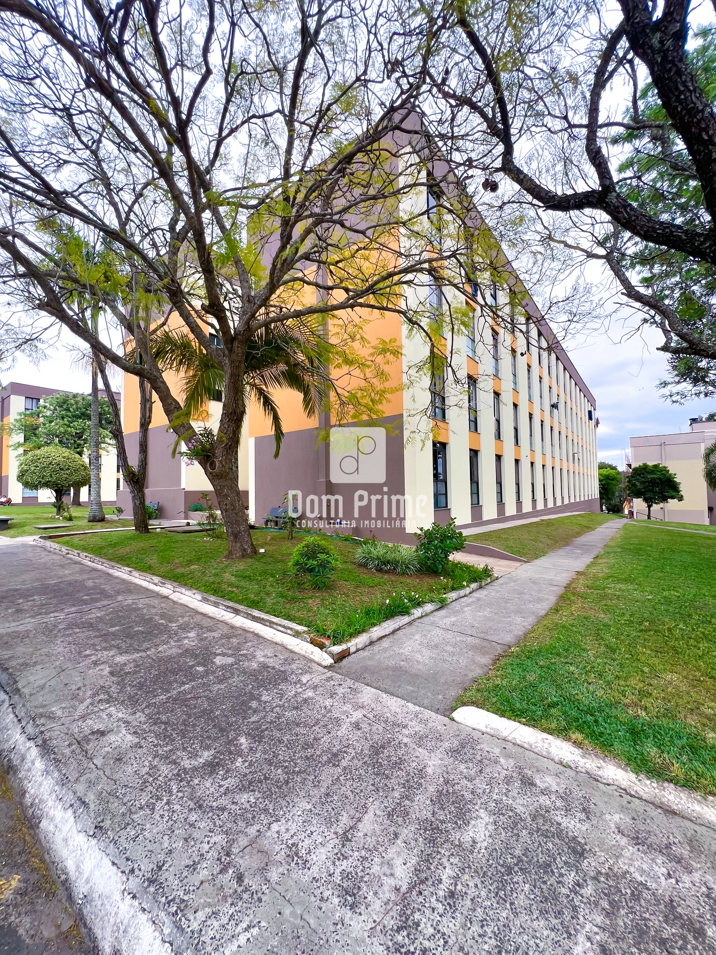 Apartamento Com 3 Quartos Para Venda E Locação Condomínio Monteiro Lobato