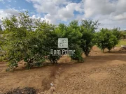 Chácara com 10.000 m² a 10 km de Ivaí - Foto 4