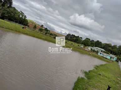 Chácara com 10.000 m² a 10 km de Ivaí - Foto 2
