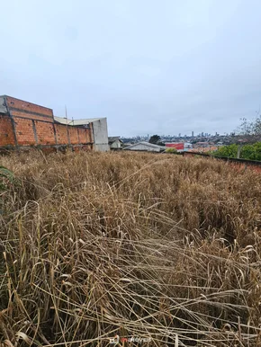 Terreno No Contorno