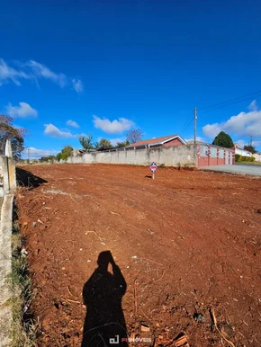 Terreno Na Região De Oficinas