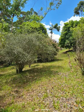 <strong>LINDA CHÁCARA NA ESTRADA PARA O ALAGADO</strong>