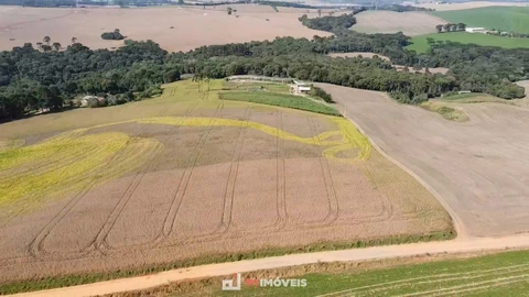 Foto Terreno