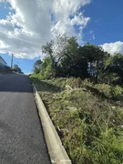 TERRENO NO BAIRRO RONDA. - Foto 6
