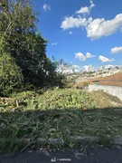 TERRENO NO BAIRRO RONDA. - Foto 5