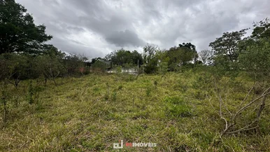 Excelente Terro A Venda.