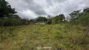 EXCELENTE TERRO A VENDA. - Foto 5