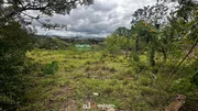 EXCELENTE TERRO A VENDA. - Foto 3