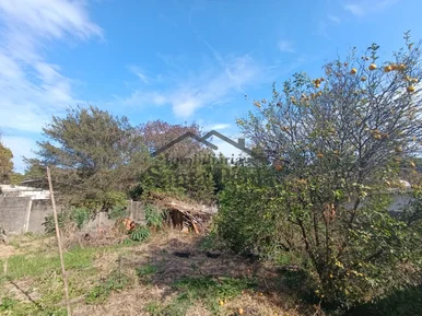 <strong>TERRENO - COLONIA DONA LUÍZA</strong>