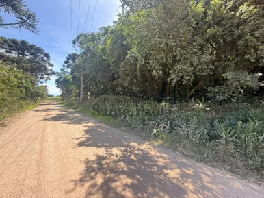 <strong>TERRENO - ÁREA RURAL EM SANTA BÁRBARA - Palmeira PR</strong>