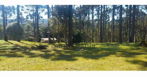 Foto Rural