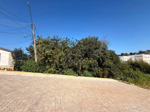 Foto Terreno