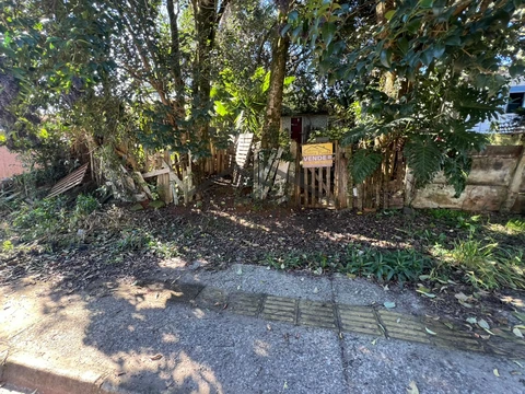 Foto Terreno