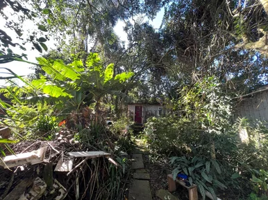 Terreno - Colônia Dona Luiza