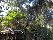 TERRENO - COLÔNIA DONA LUIZA - Foto 3