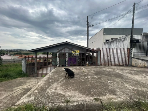 Foto Terreno