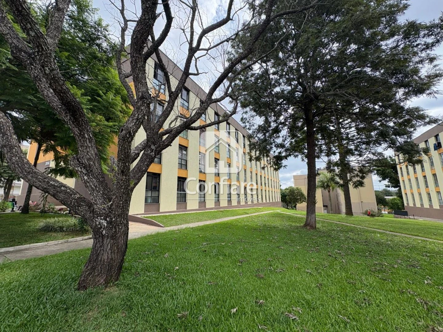 Apartamento No Monteiro Lobato