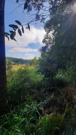 <strong>Chácara, 7.97 ha, Santonio Antônio, Castro-PR</strong>