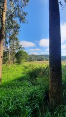 <strong>Chácara, 7.97 ha, Santonio Antônio, Castro-PR</strong>