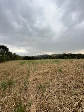 <strong>Chácara, 12 Hectares, Piraí do Sul-PR</strong>
