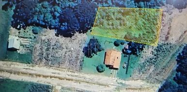 <strong>Terreno, 1.300,00m², Terra Nova, Castro-PR</strong>