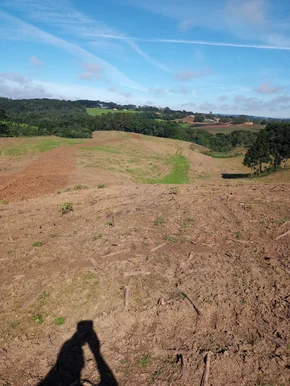 <strong>Chácara, 6 Alqueires, Terra Nova, Castro-PR</strong>