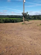 <strong>Chácara, 6 Alqueires, Terra Nova, Castro-PR</strong>