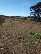 <strong>Chácara, 6 Alqueires, Terra Nova, Castro-PR</strong>
