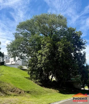 Lote 92 - Condomínio Parque Dos Ingleses