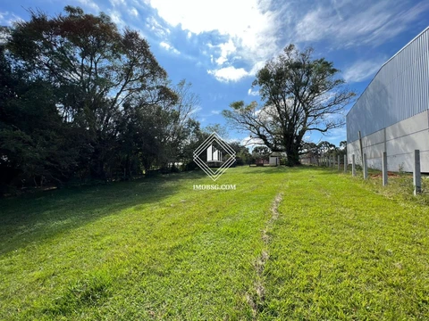 Foto Rural