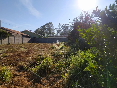 Foto Terreno