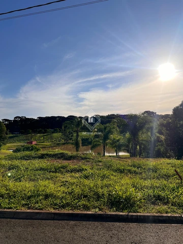Foto Terreno
