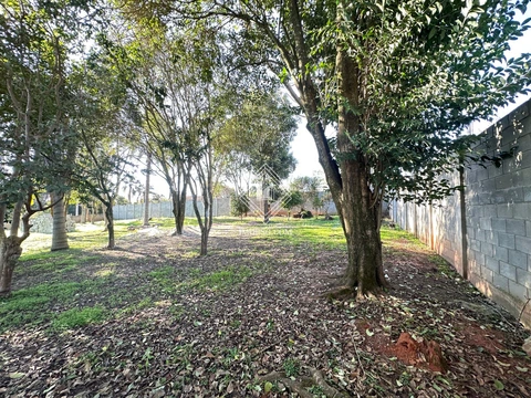 Foto Terreno