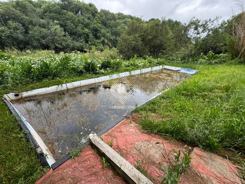 Foto Terreno
