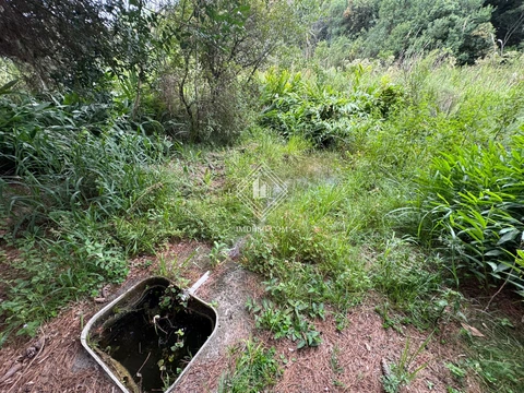 Foto Terreno