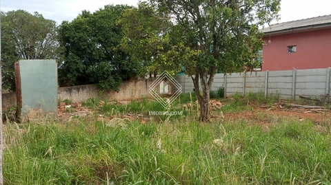 Foto Terreno