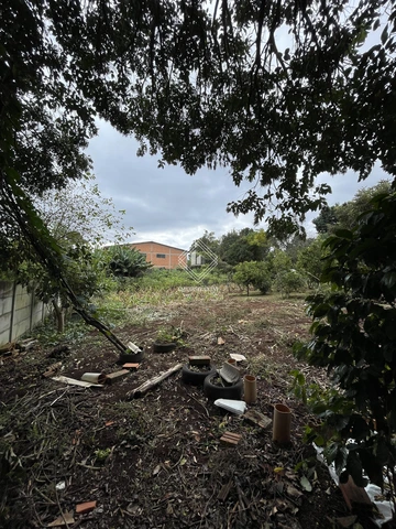 Foto Terreno