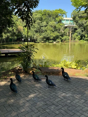 Foto Terreno
